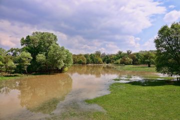 la cru de la marne est surveillee car si le fleuve sort de son lit, plusieurs villes du Val de Marne seront touchées par la montée des eaux